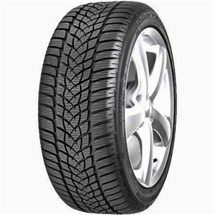 GOODYEAR 305/30R21 104V ULTRAGRIP PERF. G1 FP NA0