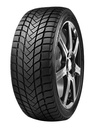 DELINTE 155/65 TR13 TL 73T DELINTE WD6 