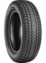 GRIPMAX 205/55 R17 95V SUREGRIP eWINTER XL